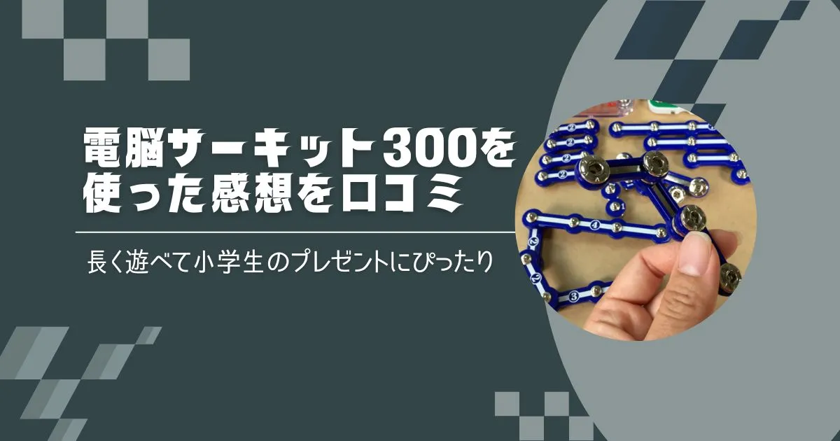 電脳サーキット300を使った感想を口コミのタイトル画像